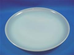 Turquise 9"Dinner Plate